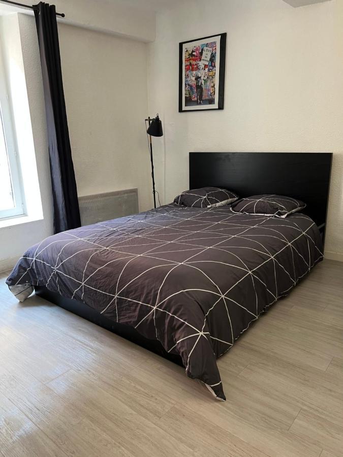 Studio Cosy Au Coeur Du Centre Ville Mâcon Kültér fotó