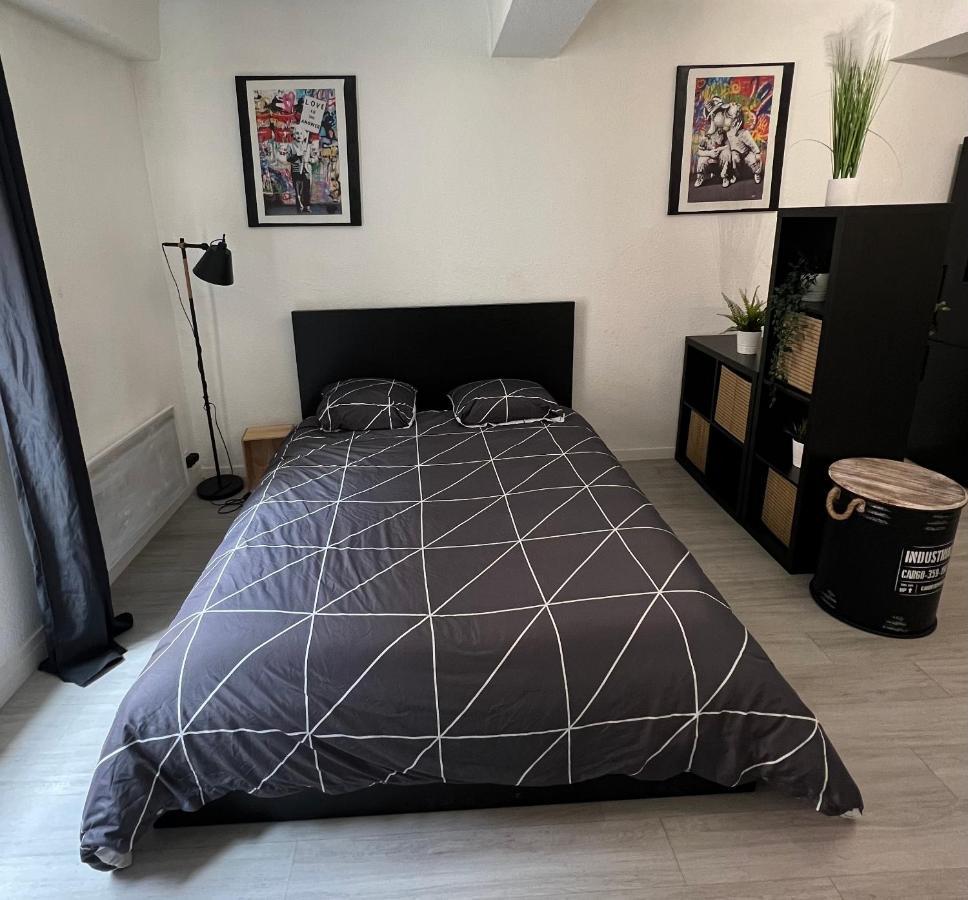 Studio Cosy Au Coeur Du Centre Ville Mâcon Kültér fotó